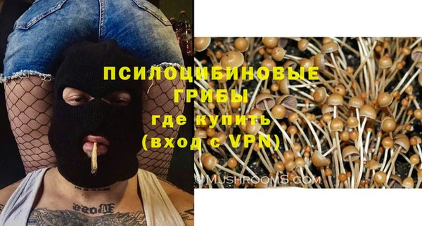 прущие крисы Алексин