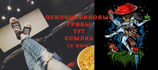 соль ск Алексеевка