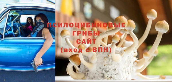 соль ск Алексеевка